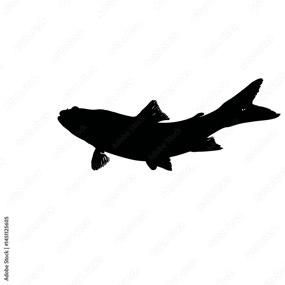 Fototapeta premium Solid black silhouette of a fish swimming, vector EPS