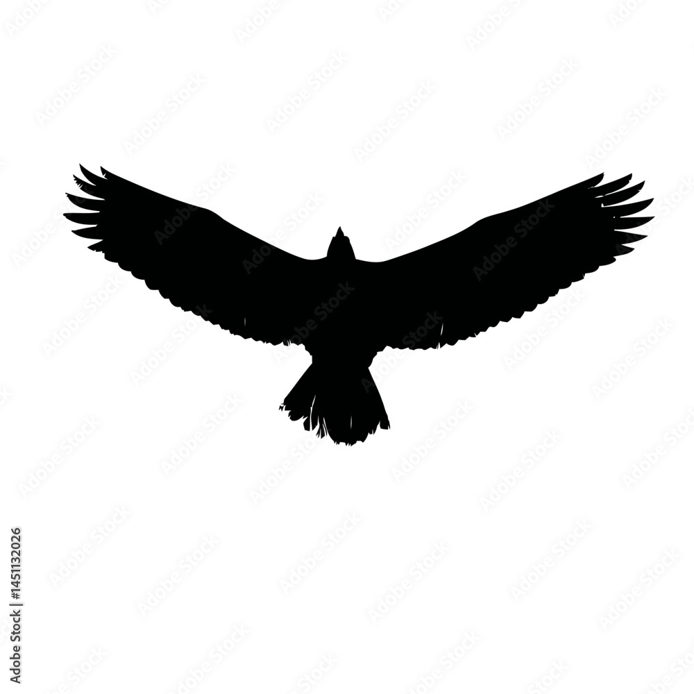 Obraz premium Solid black silhouette of an eagle flying, vector EPS