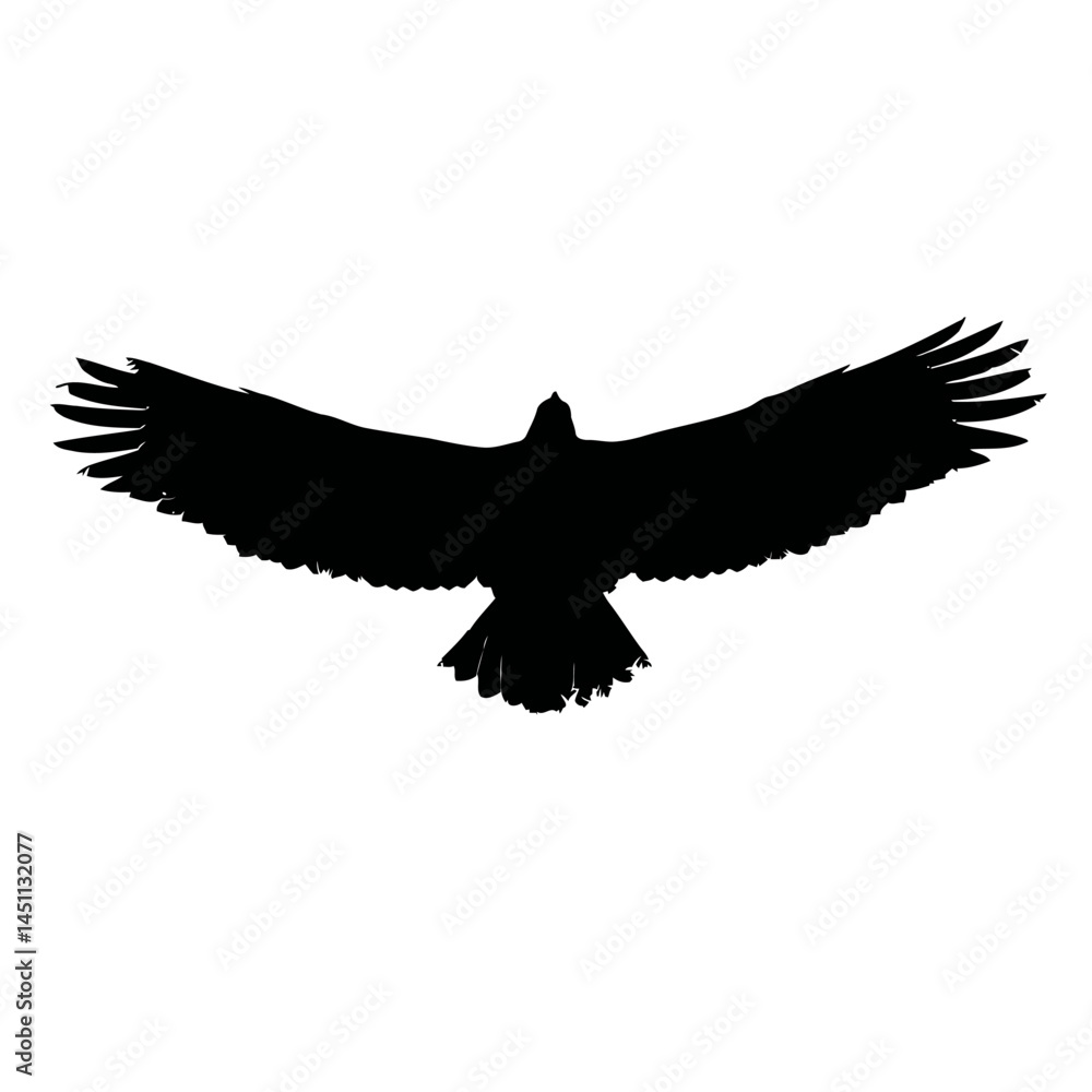 Fototapeta premium Solid black silhouette of an eagle flying, vector EPS