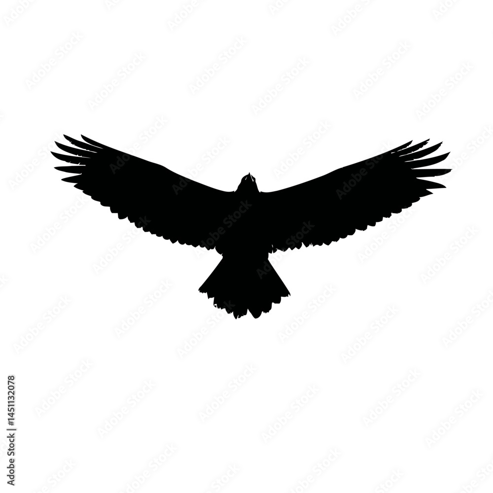 Obraz premium Solid black silhouette of an eagle flying, vector EPS