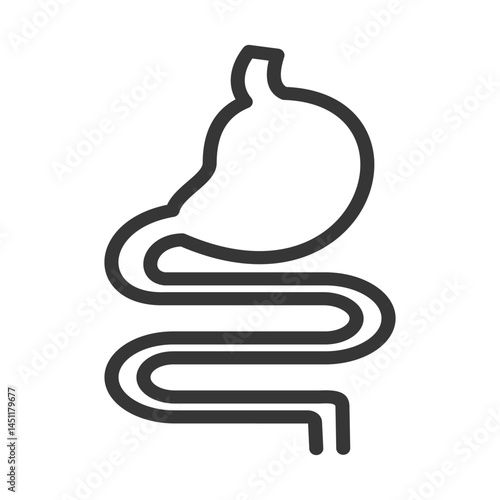 digestion system
