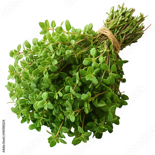 Fresh oregano herb bundle aromatic culinary ingredient cooking seasoning flavoring spice kitchen ingredient g on transparent background