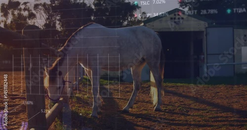 White horse grazing in paddock at glowing sunset, showing animated stock tickers and charts