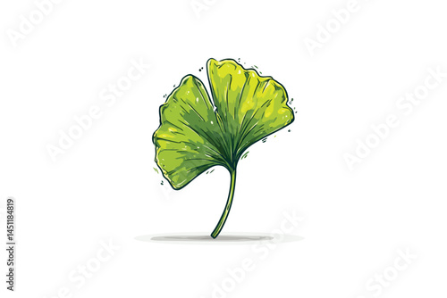 ginkgo green leaf botany isolated