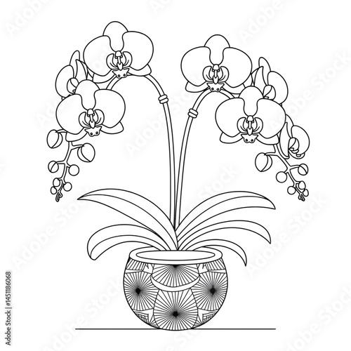 A black and white orchid inside the vase illustration line art of a coloring page