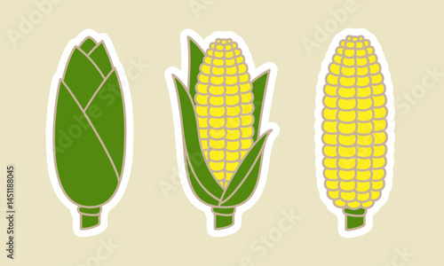 Fresh corn icon set – three stages of maize with husk, partially husked, and bare ear. Flat style, colorful vector illustrations perfect for farming, agriculture, harvest, food, and packaging.