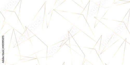 Triangular 3d, modern background Modern geometrical dynamic and seamless abstract white background. Random chaotic lines abstract geometric pattern. .graphic background dots with connections for your 