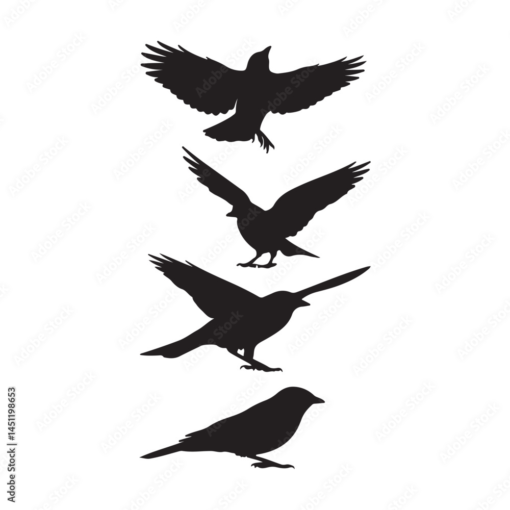 Fototapeta premium Black bird silhouette vector illustration set flying and perched isolated on white background design graphic