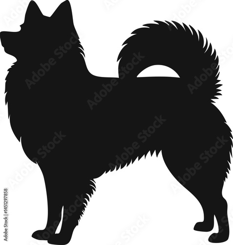 indian spitz dog silhouette illustration