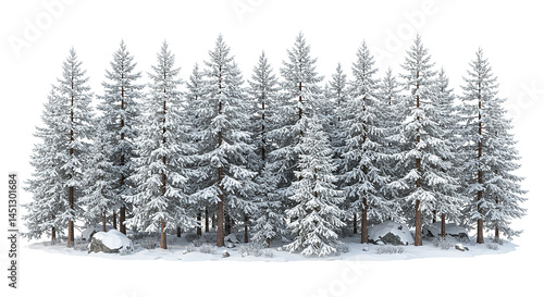 Winter wonderland, majestic snow covered pine forest on white background