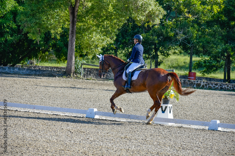 young woman riding a horse in a dressage competition young woman riding a horse in a dressage competition