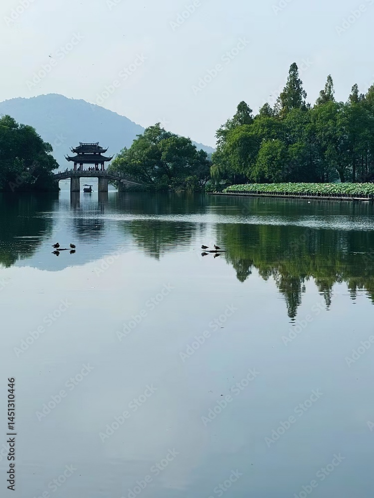 Obraz premium Symmetrical Chinese Garden Photography with Stone Bridge, Pavilion & Duck Flocks - Ink-wash Aesthetic for Cultural Tourism Promotion and Oriental Design