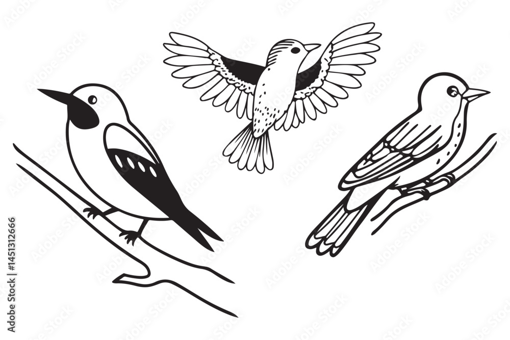 Fototapeta premium Black and White Bird Illustration – Eagle, Dove, Swan, Songbirds, Cartoon Bird Clipart on Branches for Kids, Coloring, and Learning, Nature-Inspired Vector Art – Wildlife Avian Drawing for Education
