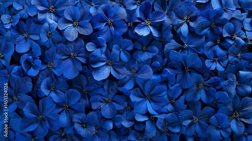 Obraz na płótnie Dense cluster of vibrant blue flowers with rich color and details. w salonie
