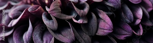 Obraz na płótnie Close-up view of purple leaves, showcasing intricate textures and colors. w salonie