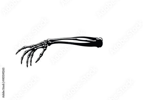 Skeleton arm silhouette. This image shows a black and white vector clipart illustration of a human skeletal arm and hand, highlighting the bones and joints. Vector clipart illustration design.