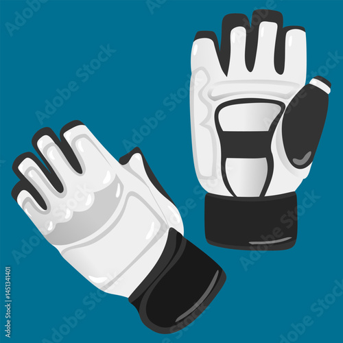 Taekwondo Match Equipment Illustration gloves and tosca background