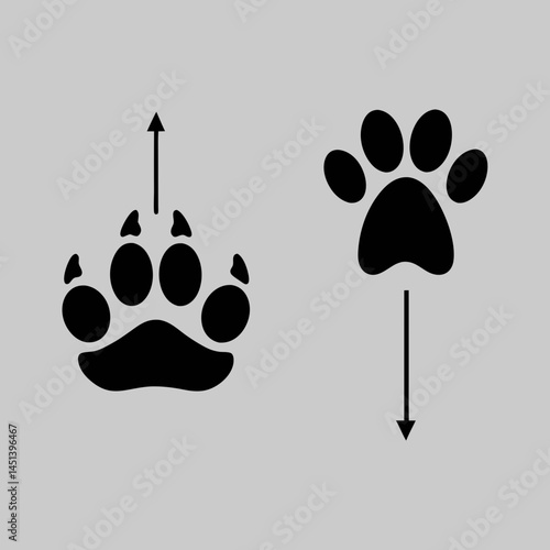 Bear paw vs dog paw A simple graphic comparing the unique prints of these two animals in black and white against a light