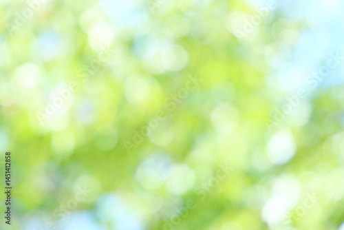 山桜の若葉のアウトフォーカス