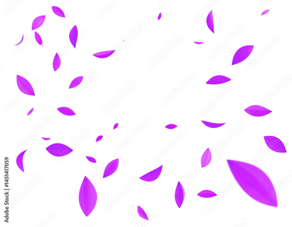purple flower petal floating falling dancing isolated on transparent png purple flower petal floating falling dancing isolated on transparent png
