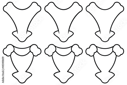 Clavicle Human Skeleton Line art