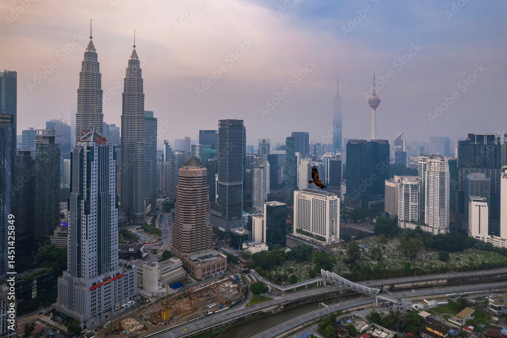 Obraz premium A bird of prey soars above the urban landscape