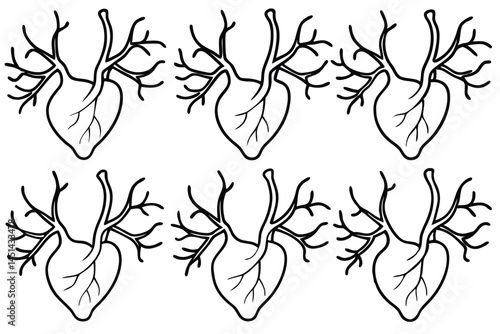 Coronary arteries healthy circulation Line art