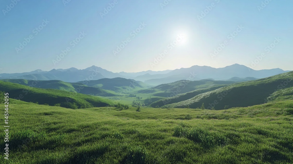 Lush valley, bright morning sun Lush valley, bright morning sun