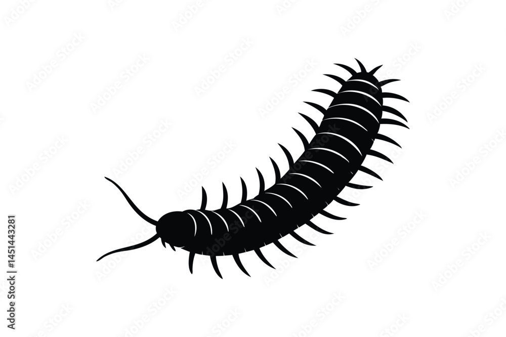 Millipede icon silhouette on white background Millipede icon silhouette on white background