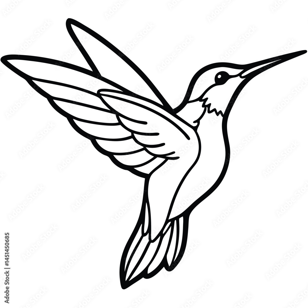 Fototapeta premium Hummingbird Bird Illustration Vector Graphic Design Nature Wildlife Artwork