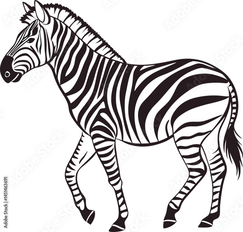 Vector silhouette of Zebra on a plain white background