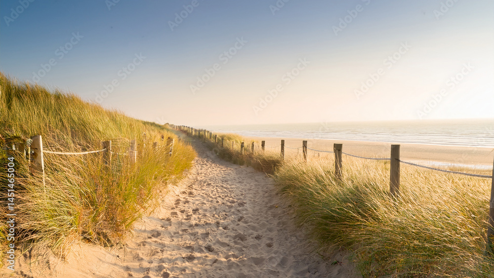 Tranquil Sandy Path Through Beach Dunes to the Sea Tranquil Sandy Path Through Beach Dunes to the Sea