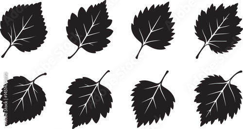 This title emphasizes the elegant shapes of the leaves, evoking the beauty of nature and the changing seasons.