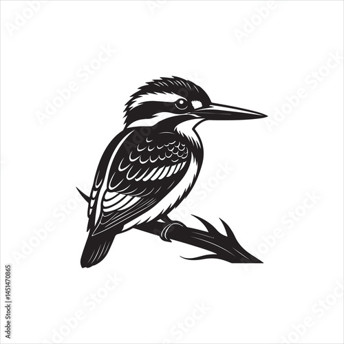Kingfisher Bird Silhouette Clipart, Black Kingfisher Outline on White Background