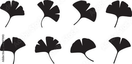 This title emphasizes the distinct shape and elegance of the ginkgo leaves, capturing their unique form in a minimalist design.