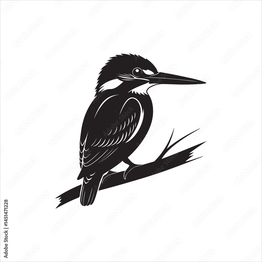 Fototapeta premium Kingfisher Bird Silhouette Clipart, Black Kingfisher Outline on White Background