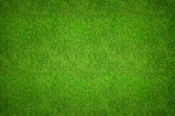 Grass background top view - aerial image of freshly cut, healthy, green grass field as a backdrop texture.