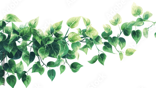 A digitally rendered illustration shows a bright green vine winding gracefully across a pure white background. The vine is rendered in great detail, showing a range of green colors.