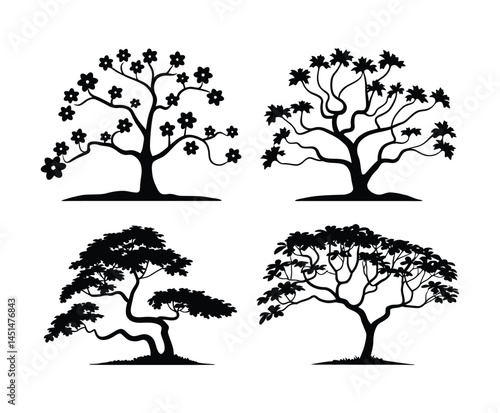 Dogwood Tree Silhouette Isolated Collection Template