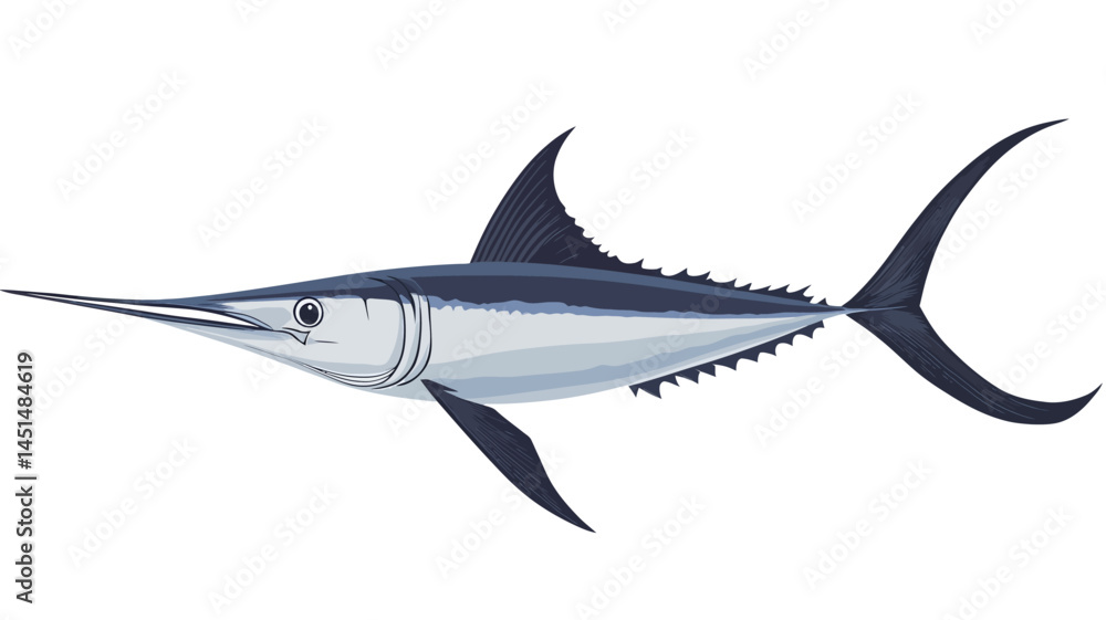 Fototapeta premium This digital illustration shows an Atlantic sailfish (Istiophorus albicans) in profile, set against a white background. The fish's streamlined body is carefully depicted.