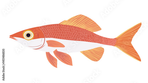 A stylized illustration of an orange fish on a white background. The fish is shown in profile with clear details of its fins and scales.