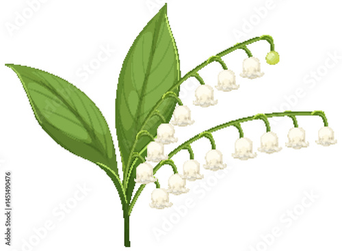 Elegant Lily of the Valley Vector Illustration