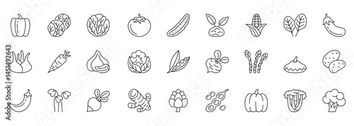 Vegetable varieties elegantly outlined in rows