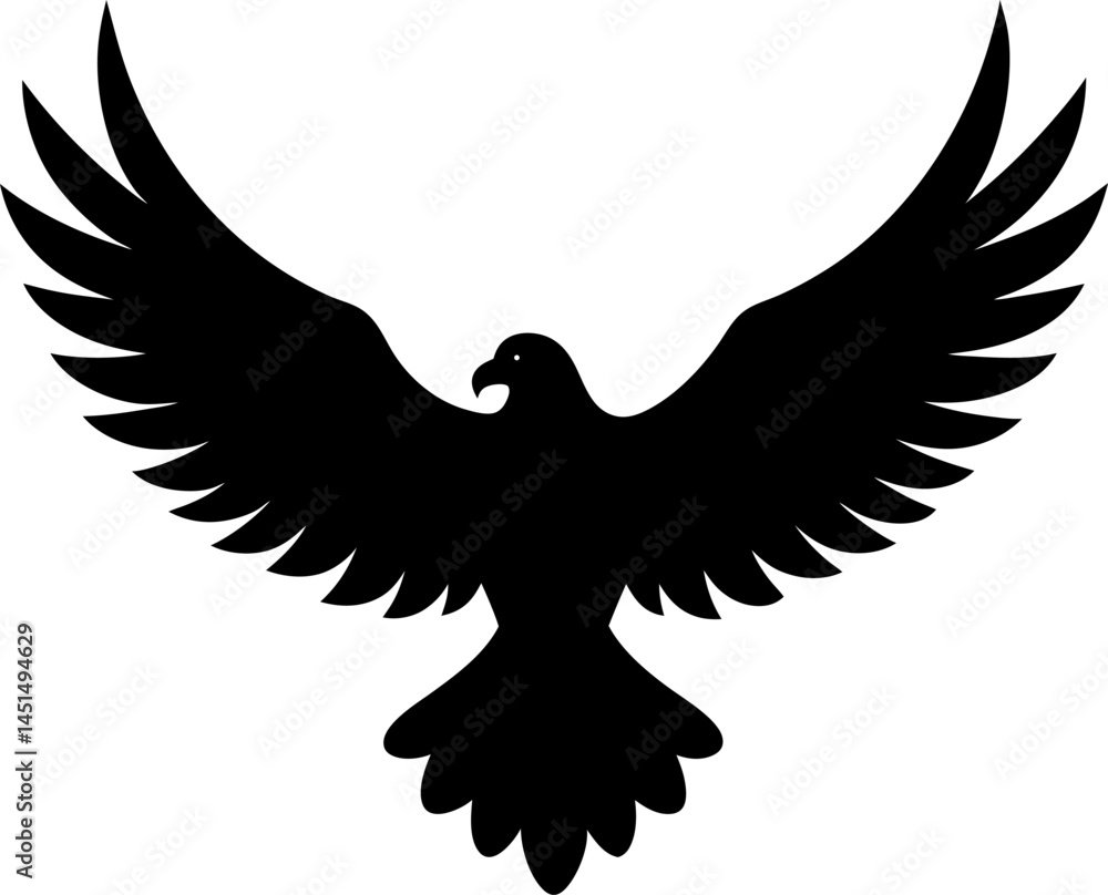 Obraz premium eagle in flight