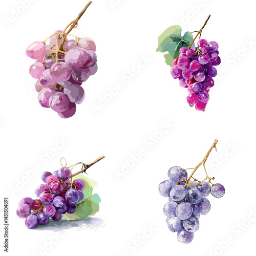 Watercolor illustration of purple grape bunches on white background, perfect for wine themes, organic fruit visuals, and healthy food designs.

