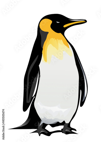 Illustration of a cute penguin