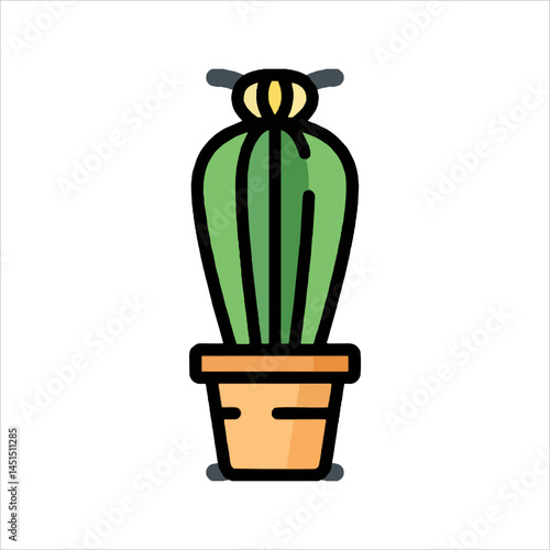 cactus in a pot