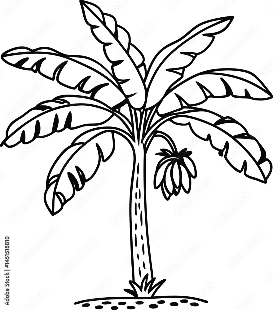 palm tree with leaves palm tree with leaves
