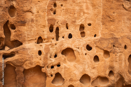 A close up view of a red sandstone canyon wall filled with naturally eroded holes, capturing the unique geological textures and formations of a desert environment in the American Southwest