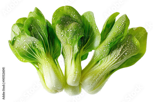 Fresh bok choy bunch isolated on transparent png background